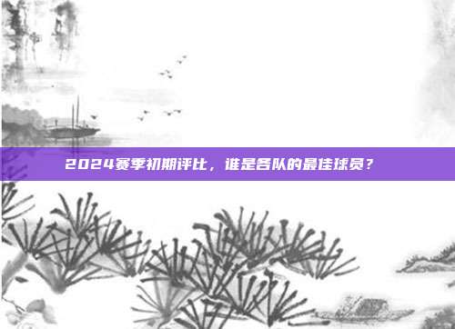 2024赛季初期评比，谁是各队的最佳球员？⭐️