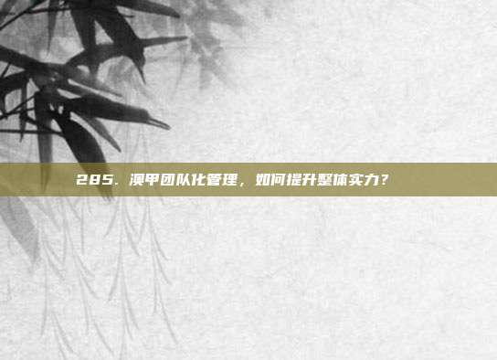 285. 澳甲团队化管理，如何提升整体实力？🔗