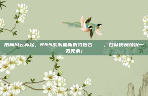 伤病风云再起，855战队最新伤势报告📋，各队伤员情况一览无余！