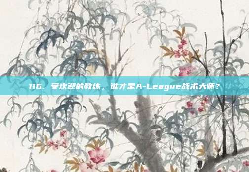 116. 受欢迎的教练，谁才是A-League战术大师？