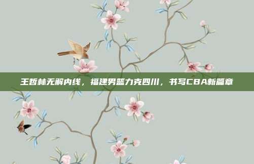 王哲林无解内线，福建男篮力克四川，书写CBA新篇章