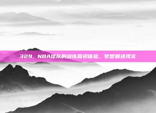 329. NBA球队的训练营初体验，梦想照进现实