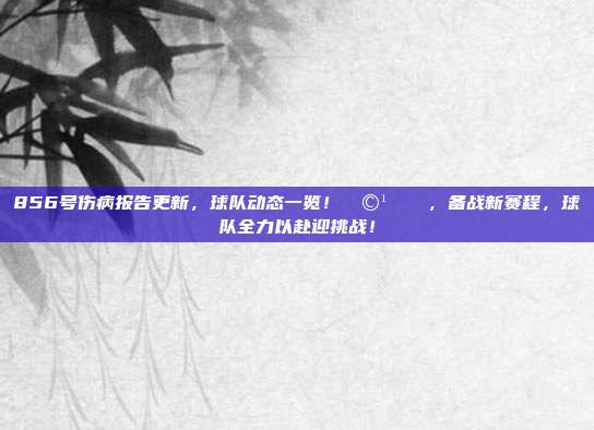 856号伤病报告更新，球队动态一览！🩹📉，备战新赛程，球队全力以赴迎挑战！