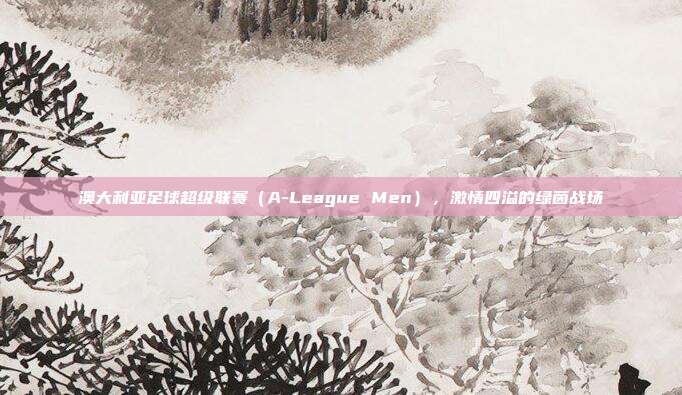 澳大利亚足球超级联赛（A-League Men），激情四溢的绿茵战场