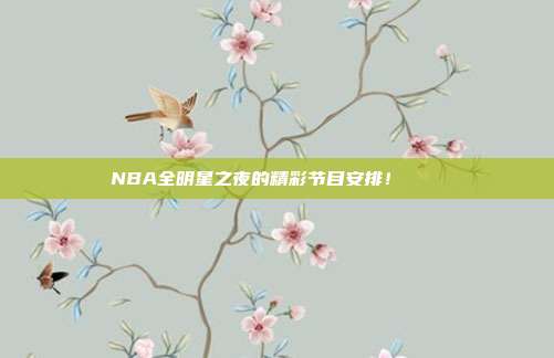 NBA全明星之夜的精彩节目安排！✨🌟