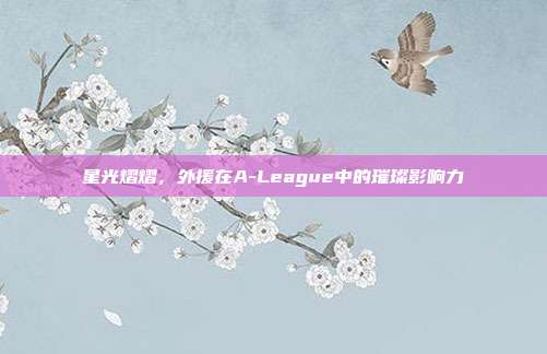 星光熠熠，外援在A-League中的璀璨影响力