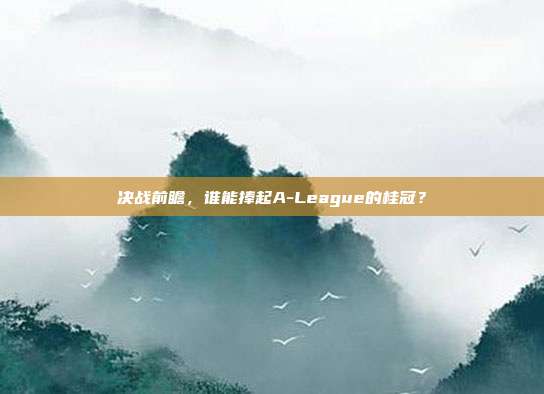 决战前瞻，谁能捧起A-League的桂冠？