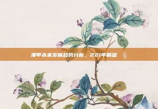 澳甲未来发展趋势分析，221年展望🧐